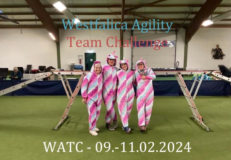 Westfalica Agility Team Challenge